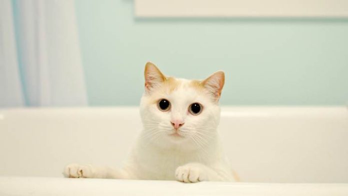 01hsvw87htc679qarfjs-1