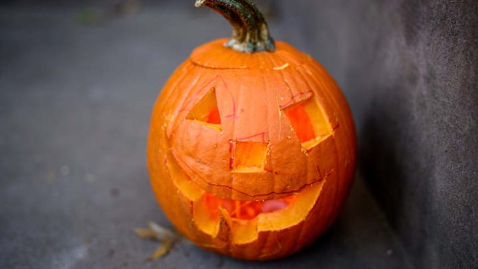 01k8kf0wvhpckawb2dpg