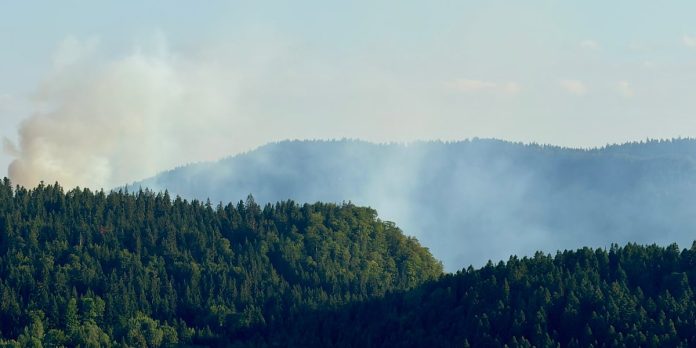 Požar kod Kladnja ne jenjava: Vatra već šest dana aktivna, gašenje otežava vjetar